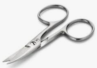 Nail scissor